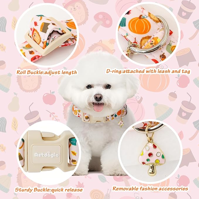 Fall Woodland Dog Collar, Playful Squirrel & Pumpkin Print on White Collar for Small Medium Large Dogs, Breathable, Adjustable & Comfortable Puppy Collar for Fall Walks & Pet Photos-XS