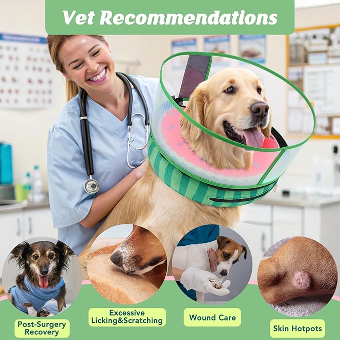 Inflatable Dog Cone with Anti-Licking Clear Shield, Protective Dog Donut Collar After Surgery, Adjustable Soft Recovery Cone for Pets, Alternative Collar with Buckle Strap (Watermelon, M+)