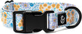 Lucy & Co. Among The Wildflowers Dog Collar - Durable Lightweight Designer Collar for Pets - Adjustable Metal Safety Buckle - Purple Floral - Medium