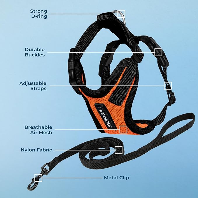 Voyager Escape-Proof Step-in Lock Cat Harness & 5ft Neoprene-Handle Leash Set All-Weather Mesh with Reflective Stitching for Small to Large Cats by Best Pet Supplies, Orange/Black Trim, S