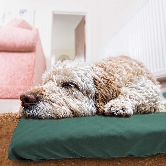 Dog Bed Cover Waterproof Replacement Machine Washable Covers for Dog Bed Heavy Duty Scratch Resistant Mattress Protector Pet Bed 47x29 Inch Dark Green Cover Only