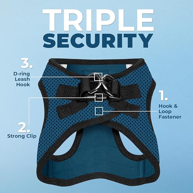 Best Pet Supplies Voyager Step-in Air Harness - All Weather Mesh, Reflective, No Pull Harness for Dogs, Cats - Secure with Hook & Loop Fastener, Buckle, Double D-Rings - Blue/Black Trim, S