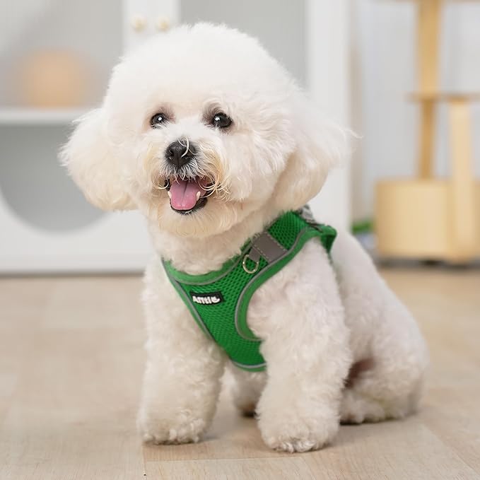 AIITLE Small Harness for Puppy with A Leash - Dog Vest Harness with Super Breathable Mesh, Reflective No-Pull Pet Harness for Outdoor Walking, Running for Small Dogs, Cats Green XXS