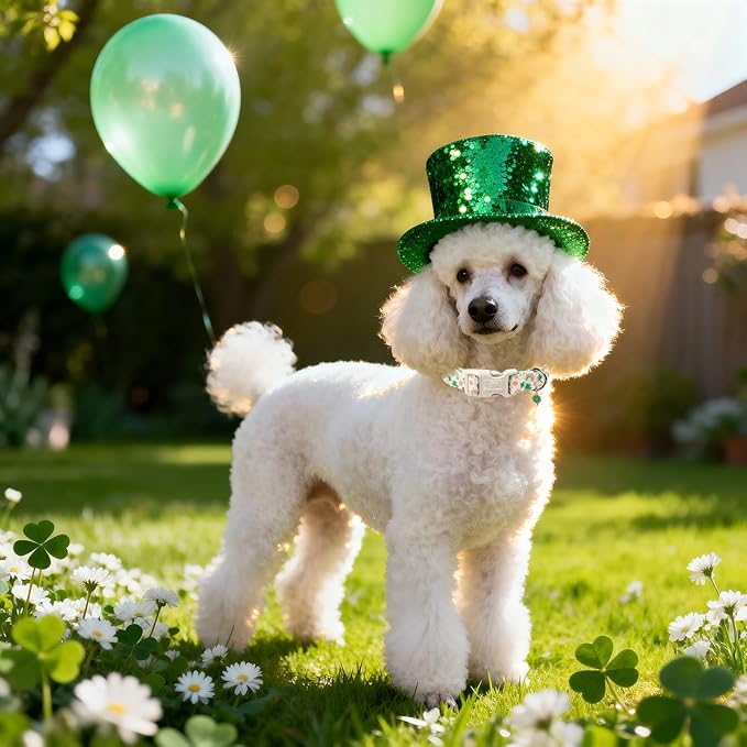 St. Patrick's Day Dog Collar for Large Dogs - Cute Shamrock & Rainbow Print Dog Collars, Irish Green Party Puppy Collar, Lightweight Adjustable St. Patricks Day Pet Collars XL