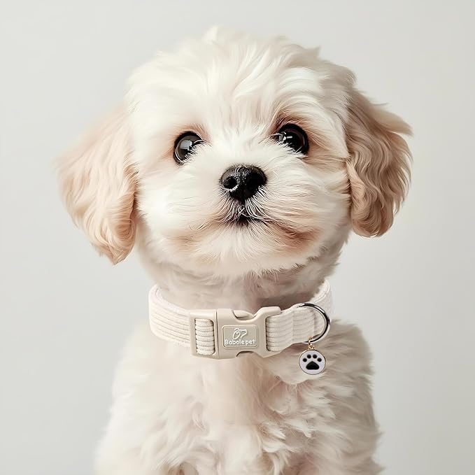 Cute Corduroy Dog Collar - White Adjustable Dog Collars for X-Small Dogs 4-10lbs, Fade-Proof with Secure Snap & Little Charm, Christmas Birthday Gift, XS