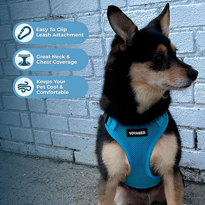 Voyager Step-in Pet Harness - All Weather Mesh, Adjustable Step in Harness for Cats and Dogs by Best Pet Supplies - Turquoise, S