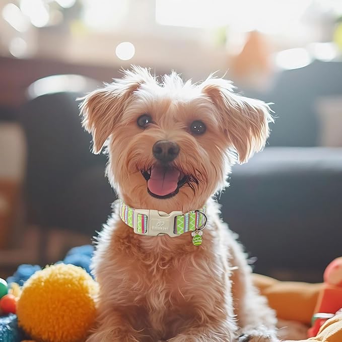 Easter Dog Collar for Small Dogs - Brightly Colored Stripe Easter Collars for Boy Girl Dogs, Adjustable Spring Holiday Pet Collars with Quick Release Buckle S