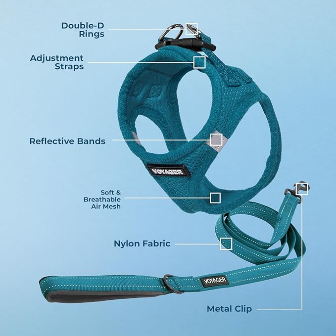 Best Pet Supplies Voyager Step-in Air All Weather Mesh Harness and Reflective Dog 5 ft Leash Combo with Neoprene Handle, for Small, Medium and Large Breed Puppies - Set (Turquoise), XL