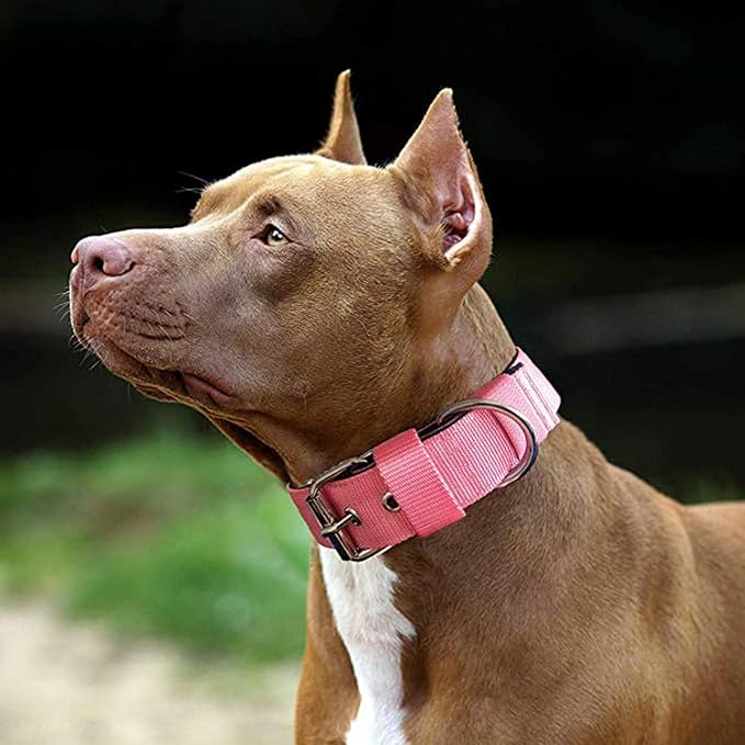 Heavy Duty Tactical Dog Collar - 1.5" Width Military Durable Thick Nylon with Adjustable Metal D Ring & Buckle Working Training K9 Collar for Medium Large Dogs (S(14"-17"), Pink)