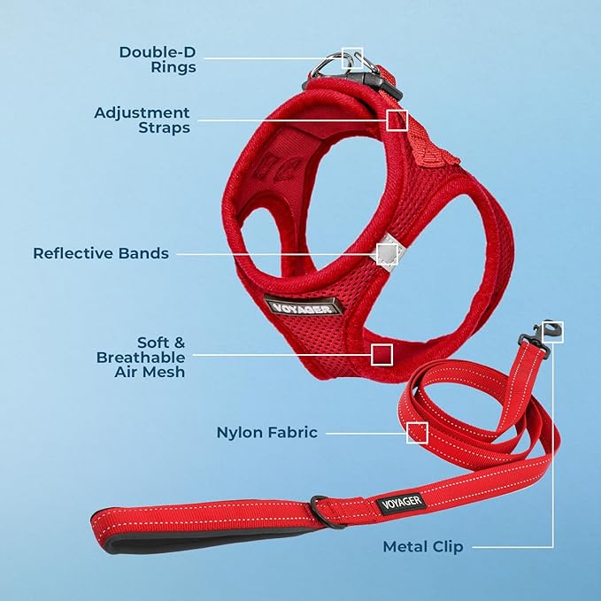 Best Pet Supplies Voyager Step-in Air All Weather Mesh Harness and Reflective Dog 5 ft Leash Combo with Neoprene Handle, for Small, Medium and Large Breed Puppies - Harness Leash Set (Red), XS