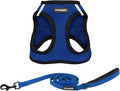 Best Pet Supplies Voyager Step-in Air All Weather Mesh Harness and Reflective Dog 5 ft Leash Combo with Neoprene Handle, for Small, Medium and Large Breed Puppies - Royal Blue/Black Trim, Medium