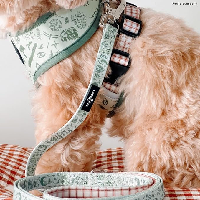 Lucy & Co. Cute Reversible Dog Harness Walking Halter - Best Designer Pet Harnesses for XS - XL Dogs - Padded Adjustable Vest for Easy Walking-Medium-Green Outdoor Plaid