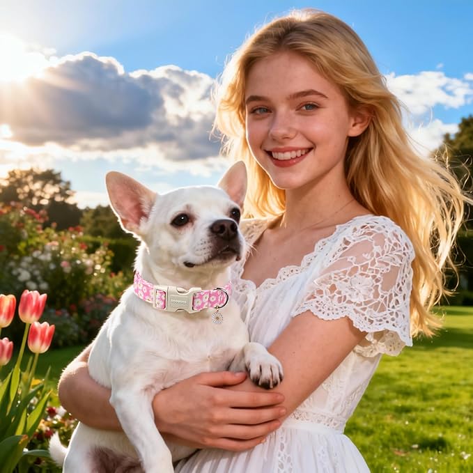 DOGWONG Flower Dog Collar-Daisy Flower Print Girl Dog Collar for Large Cute Dog Collars Spring Female Pet Gift Adjustable Heavy-Duty Soft Collar，S