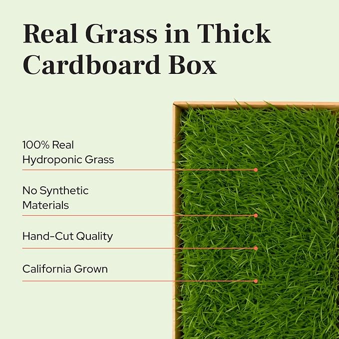 Kitty Lawn Real Grass Cat Window Perch - Natural Indoor Lounger for Large & Small Cats - California Grass - 24x9 Inch - USA Grown