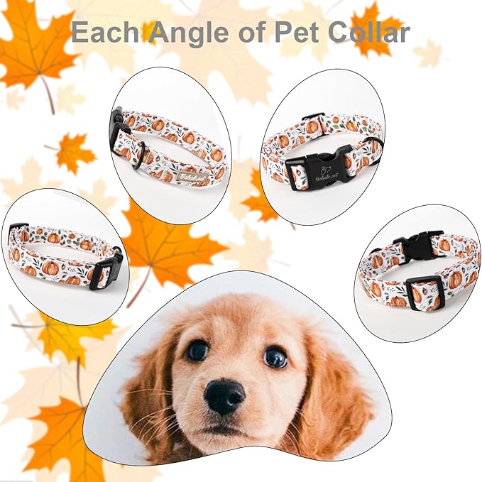 Fall Dog Collar, Cute Orange Pumpkin Pattern Puppy Collar, Soft Comfort Adjustable Holiday Thanksgiving Dog Collars for Small Medium Large Boy&Girl Dogs L