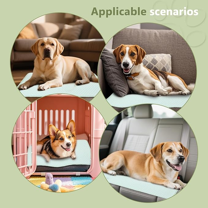 SOMOYA Dogs Cooling Mat Pet Cooling Pads Blanket Sleeping Kennel Mat,Washable Ice Silk Sleep Mat Pad Breathable for Large Dogs Cats (Green, Small (17.7x23.6 in))