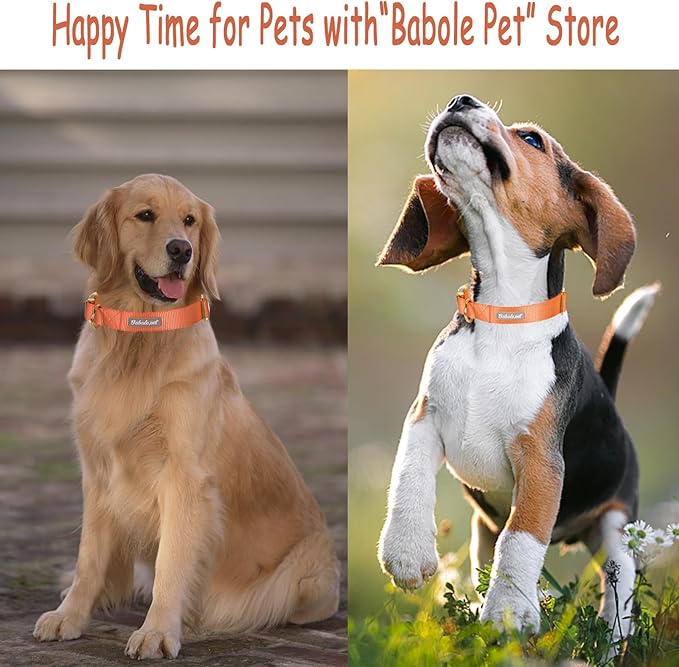Nylon Dog Collar - Adjustable Orange Soft Webbing Dog Collars for Small Medium Large Dogs Boy Girl Puppy Collar with Safety Metal Buckle XL