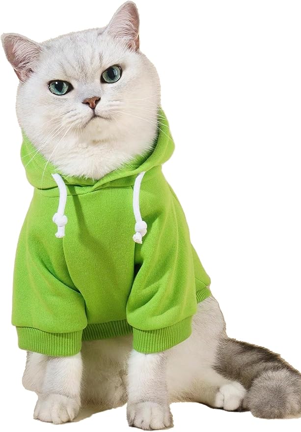 QWINEE Basic Dog Hoodie Sweatshirt Puppy Sweater Warm Cat Costumes Pet Clothes for Chihuahua Puppy Kitten Small Medium Dogs Green Medium