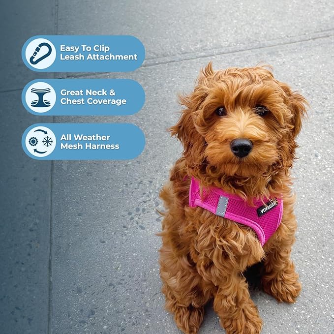 Best Pet Supplies Voyager Step-in Air All Weather Mesh Harness and Reflective Dog 5 ft Leash Combo with Neoprene Handle, for Small, Medium and Large Breed Puppies - Set (Fuchsia), L