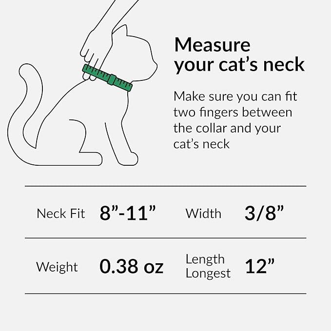 CollarDirect Leather Cat Collar with Bell - Kitten Collar, Small and Big Cat Collar for Boy Cats, Girl Cats with Safety Elastic Strap (Neck Fit 8"-11", Purple)