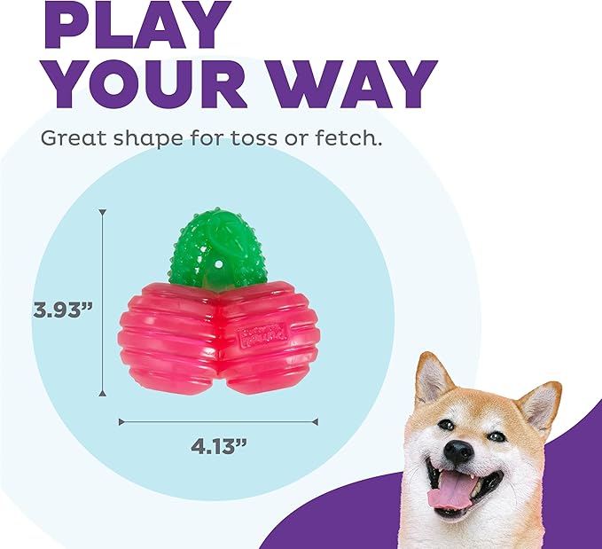 Outward Hound Gummiez Cherries Dog Toy & Treat Stuffer, 4″ x 4″ Cherry-Scent Interactive Chew for Dogs, Promote Healthy Teeth, Gums & Mental Enrichment, Reduce Boredom & Support Dental Health
