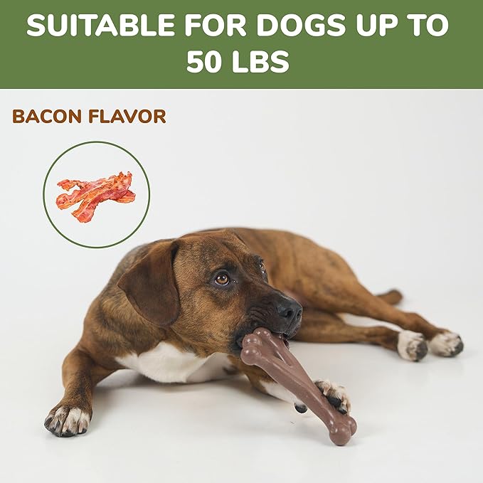SPOT Bam-Bones Wishbone - Made with Strong Bamboo Fiber, Durable Long Lasting Dog Chew for Light to Moderate Chewers, Great Toy for Adult Dogs & Teething Puppies Under 50lbs, 7in, Bacon Flavor