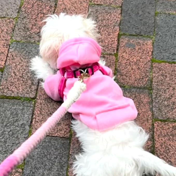Jecikelon Winter Dog Hoodie Sweatshirts with Pockets Warm Dog Clothes for Small Dogs Chihuahua Coat Clothing Puppy Cat Custume (Pink, X-Large)