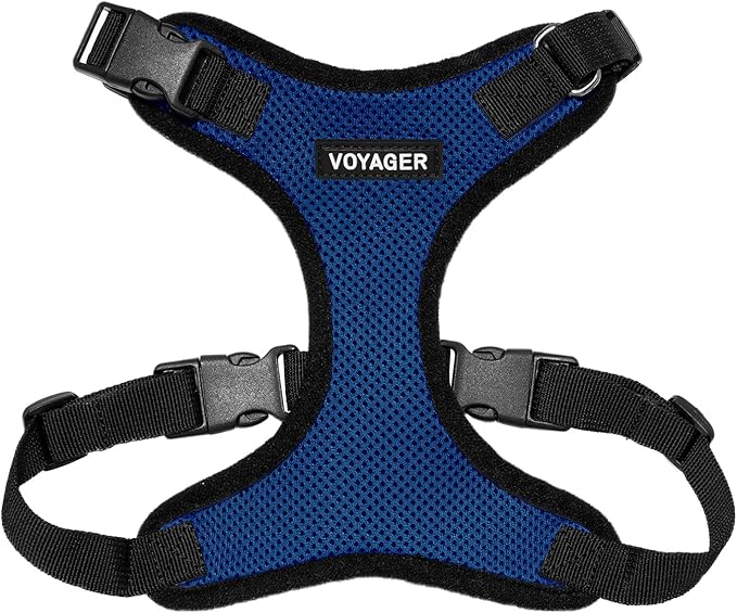 Voyager Step-in Pet Harness - All Weather Mesh, Adjustable Step in Harness for Cats and Dogs by Best Pet Supplies - Royal Blue/Black Trim, XS