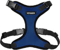 Voyager Step-in Pet Harness - All Weather Mesh, Adjustable Step in Harness for Cats and Dogs by Best Pet Supplies - Royal Blue/Black Trim, XS