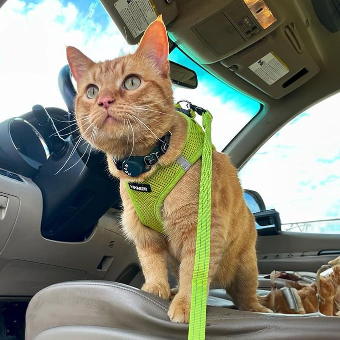Best Pet Supplies Voyager Step-in Air All Weather Mesh Harness and Reflective Dog 5 ft Leash Combo with Neoprene Handle, for Small, Medium and Large Breed Puppies - Set (Lime Green), XL