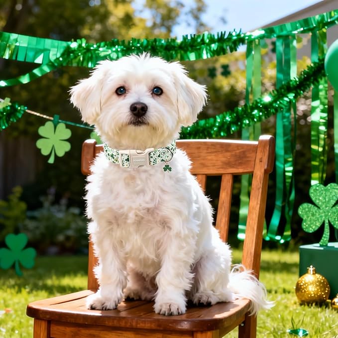 DOGWONG St Patrick's Dog Collar, Green Clover Pet Collar Cotton Holiday Pet Collar Cute Puppy Collar Adjustable Pet Dog Collars for Small Dogs,XS