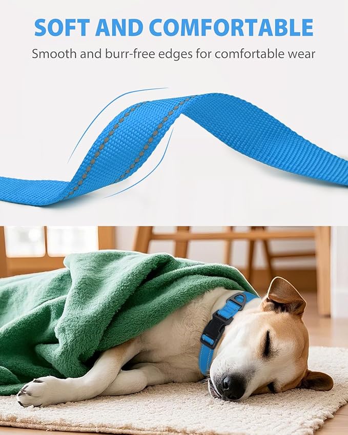 Joytale Reflective Dog Collar, Adjustable Nylon Pet Collar with Quick-Release Buckle for Medium Dogs, Sky Blue, M