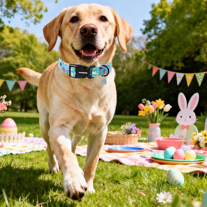 DOGWONG Easter Dog Collar, Cute Easter Egg Pet Collar Durable Holiday Girl Boy Adjustable Cotton Dog Collars with Quick Release Buckle for Large Dogs,XL Visit The Elegant Little Tail Store