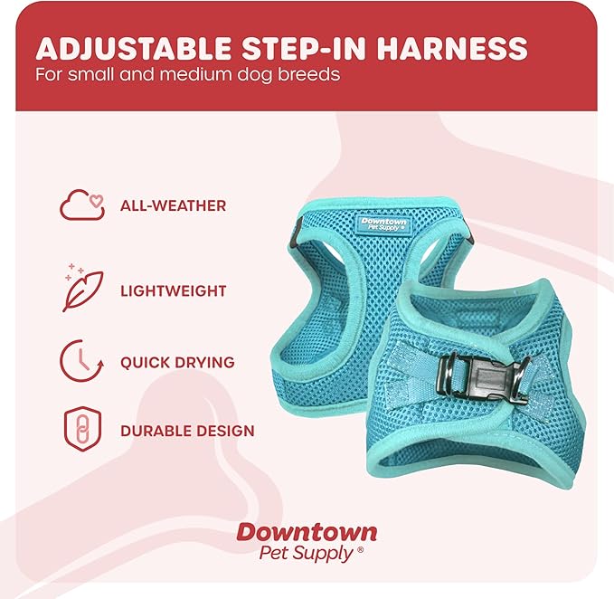 Downtown Pet Supply Step-in Dog Harness – No Pull, Adjustable Padded Mesh with Reflective Trim, Secure Buckle Strap – Comfortable & Breathable Small Dog Harness, Small, Light Blue
