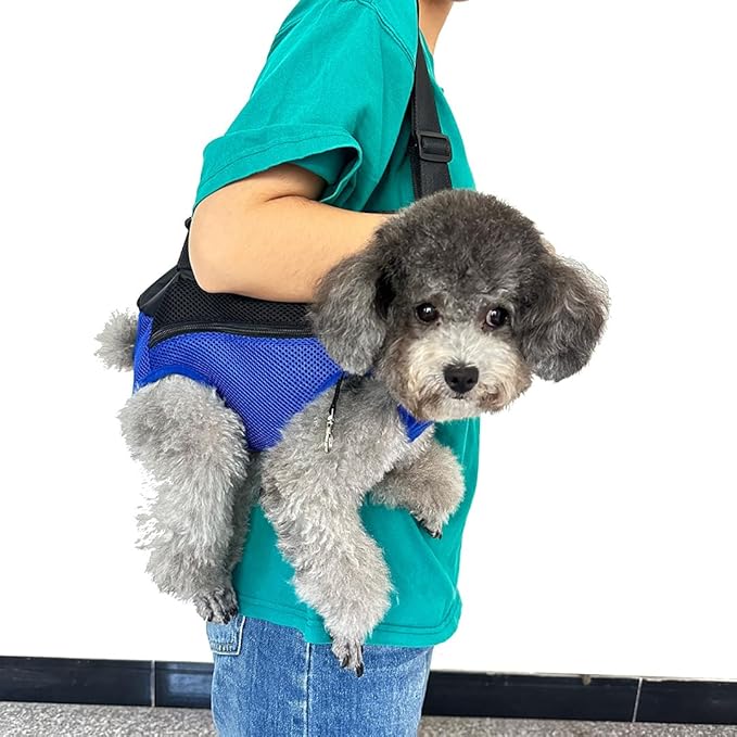 Pet Dog Carrier Backpack, Portable Breathable Mesh Chest Carrier, Polyester Woven Double Shoulder Pet Bag for Outdoor Adventures (SkyBlue, Large)