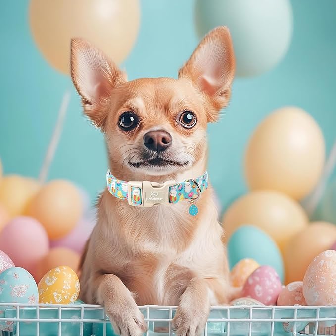 Easter Dog Collar for Large Dogs - Cute Easter Egg Hunt Dog Collars for Boy Girl Dogs, Playful Bunny & Chick Print, Lightweight Adjustable Spring Holiday Dog Collar L
