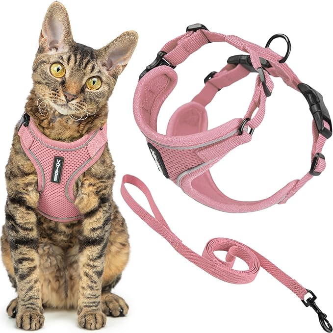 Voyager Escape-Proof Step-in Lock Cat Harness & 5ft Neoprene-Handle Leash Set All-Weather Mesh with Reflective Stitching for Small to Large Cats by Best Pet Supplies, Pink (327), M