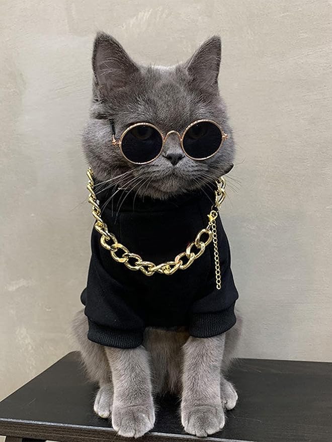 QWINEE 3Pcs Dog Hoodie Cat Apparel Dog Custume Set with Necklace and Sunglasses Pet Clothes for Puppy Small Medium Dogs Cats Multicolor XL
