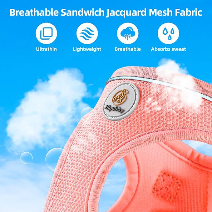 Hipubby Dog Harness and Leash Set, No Pull Soft Mesh Puppy Harness for Small Medium Dogs, Cats - Step in Reflective Breathable Lightweight Vest Harness for Walking, Training - Pink, XS