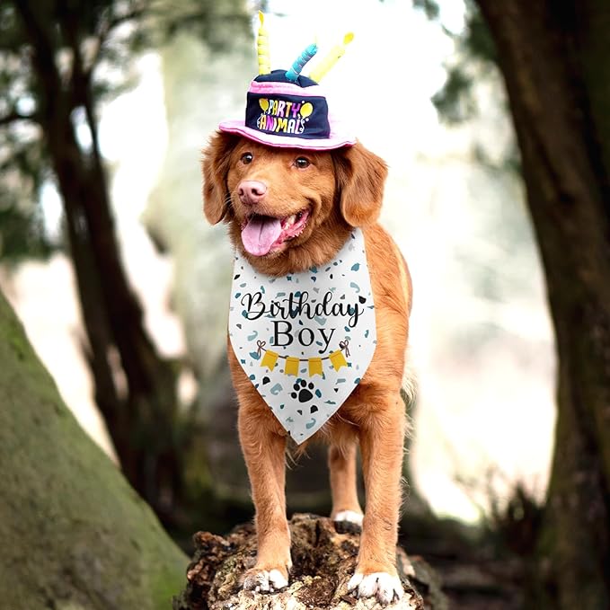 Dog Bandana for Birthday Party Supplies Puppy Pet Bandanas Boy Happy Birthday Dog Pet Scarf Accessories for Dogs Lovers