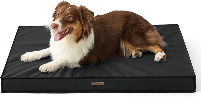 LE SURE Outdoor Waterproof Dog Bed for Medium Sized Dogs, Orthopedic Egg Crate Foam Pet Bed with Oxford Fabric Surface and Removable and Durable Cover, Machine Washable, 30''x20'', Black