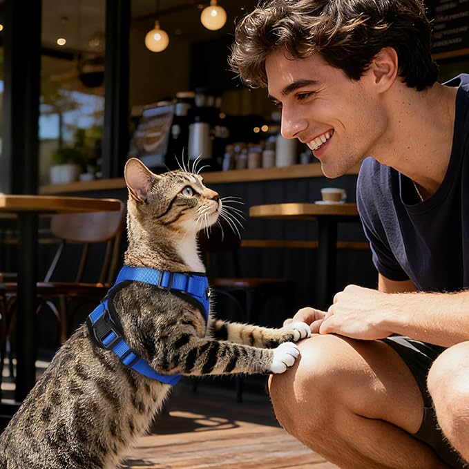Dooradar Cat Harness and Leash Set, Escape Proof Safe Adjustable Kitten Vest Harnesses for Walking, Easy Control Soft Breathable Mesh Jacket with Reflective Strips for Cats, Blue, M