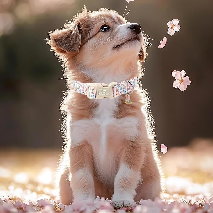 Easter Dog Collar for Medium Dogs - Pastel Bunny Easter Collars for Female Dogs, Cute Spring Girl Dog Collar, Lightweight Adjustable Cartoon Holiday Pet Collars M