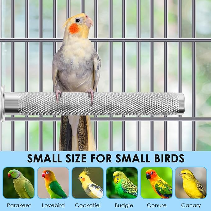 KATUMO Bird Perch - Stainless Steel - Rough Surface Stand for Small to Medium Parrots (9.8 x 1.0 inch)
