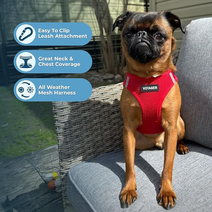 Best Pet Supplies Voyager Step-in Air All Weather Mesh Harness and Reflective Dog 5 ft Leash Combo with Neoprene Handle, for Small, Medium and Large Breed Puppies - Harness Leash Set (Red), S