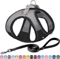 AIITLE Easy Walk Dog Harness and Leash Set - Pet Supply No Pull, Step in Adjustable Dog Harness with Padded Vest for All Weather, Dog Harness No Choke Over, Easy to Put on Medium Dogs Black L
