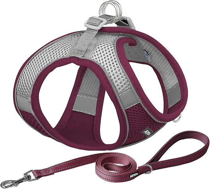 AIITLE Dog Harness, Christmas No-Pull Cat Harness with a Leash, Adjustable Reflective Puppy Vest Harness Escape Proof, Outdoor Walking, Running for Extra Small Dogs and House Cats Burgundy XXXS