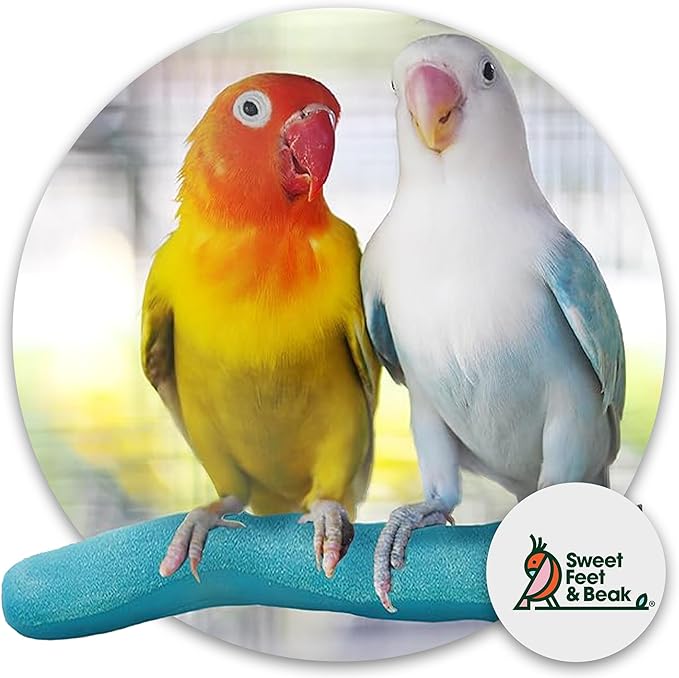 Sweet Feet and Beak Safety Pumice Perch - Trims Nails and Beak - Promotes Healthy Feet - Safe Non-Toxic Bird Supplies for Bird Cages - X-Large 14"