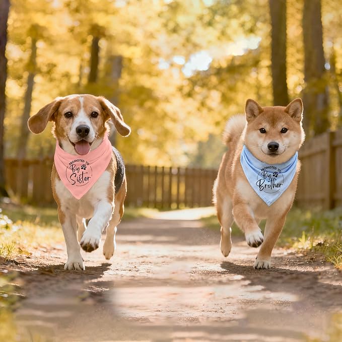 2 Pack Dog Bandana Pregnancy Announcement, Promoted to Big Brother and Sister Gender Reveal Puppy Dog Scarf Accessories, Adjustable Pet Bandana Scarf for Small Medium Large Dogs