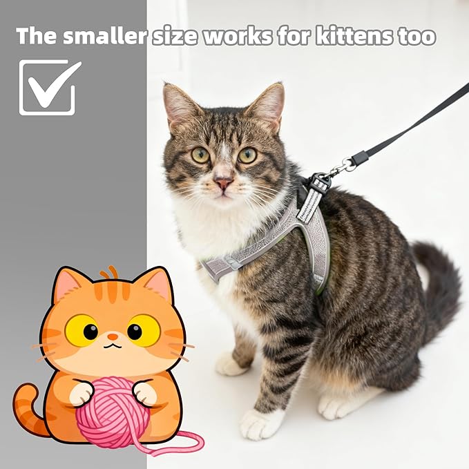 ROYPET Step-in Air Dog Harness, All Weather Mesh Step in Vest Harness for Small and Medidum Dogs and Cats, Adjustable Soft Padded Dog Vest with Easy Control Handle for Dogs Pets (Light Gray, XL)